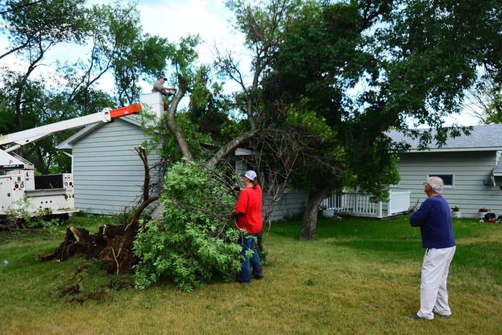 Storm Damage Pictures in Medina News Dakota