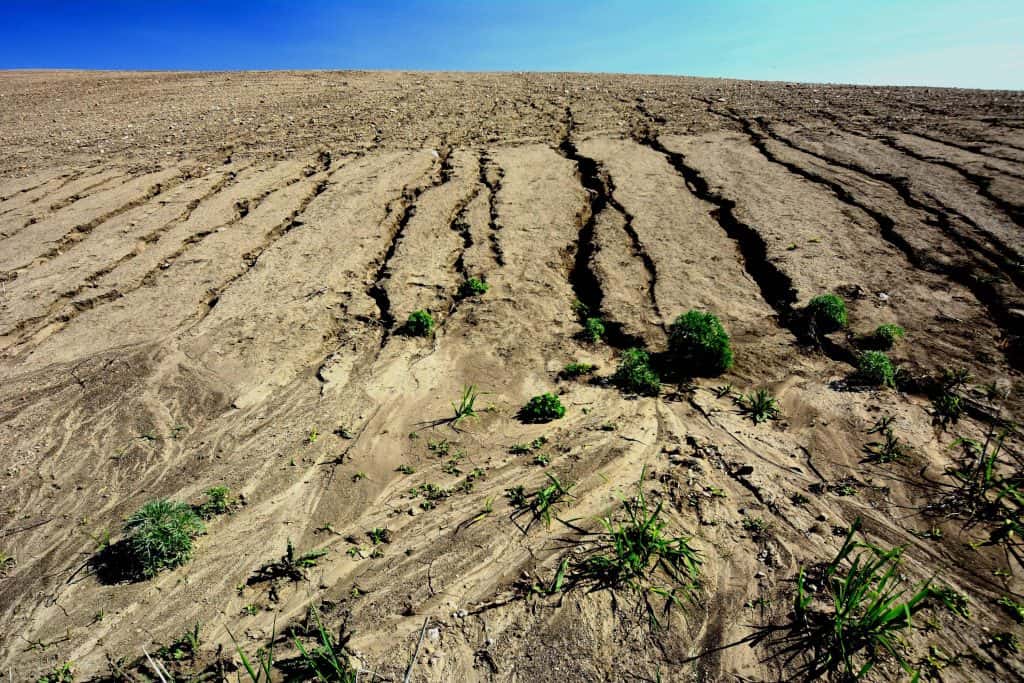 Concern Grows With Continued Erosion of CRP Land in Stutsman County