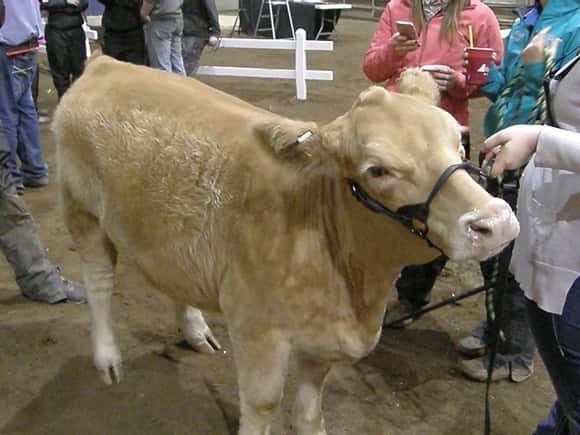 olympus-digital-camera-6126