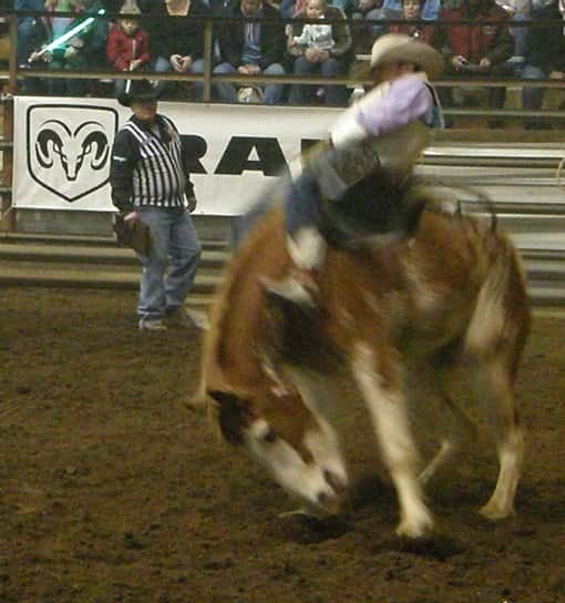 81st Annual North Dakota Winter Show in Valley City News Dakota