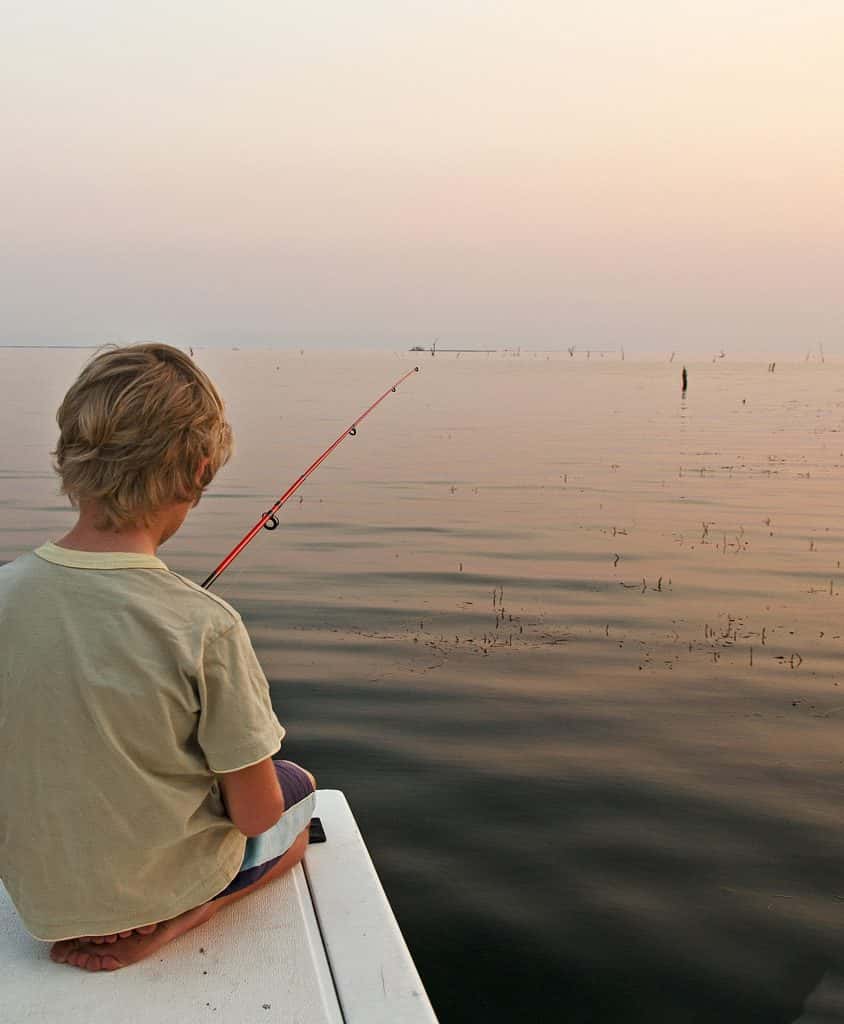 Spring Turkey Season April 10th, New Fishing License Needed - Vimarsana News