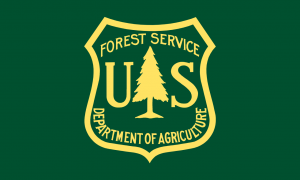 flag_of_the_united_states_forest_service-svg