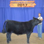 beef-colby-bruner-res-sr-showmanship