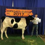 dairy-seth-kjellberg-showmanship-champ