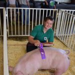 swine-zachary-lahlum-grand-gilt