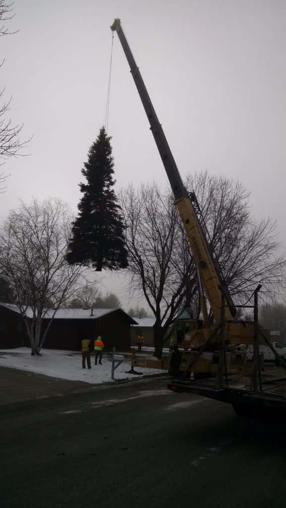 City of Jamestown Installs Annual Community Christmas Tree News Dakota