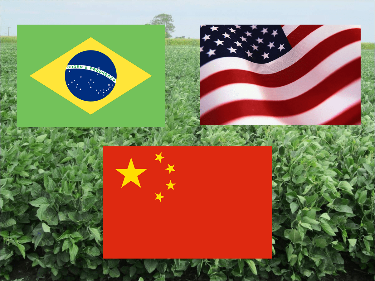 soybean-trade