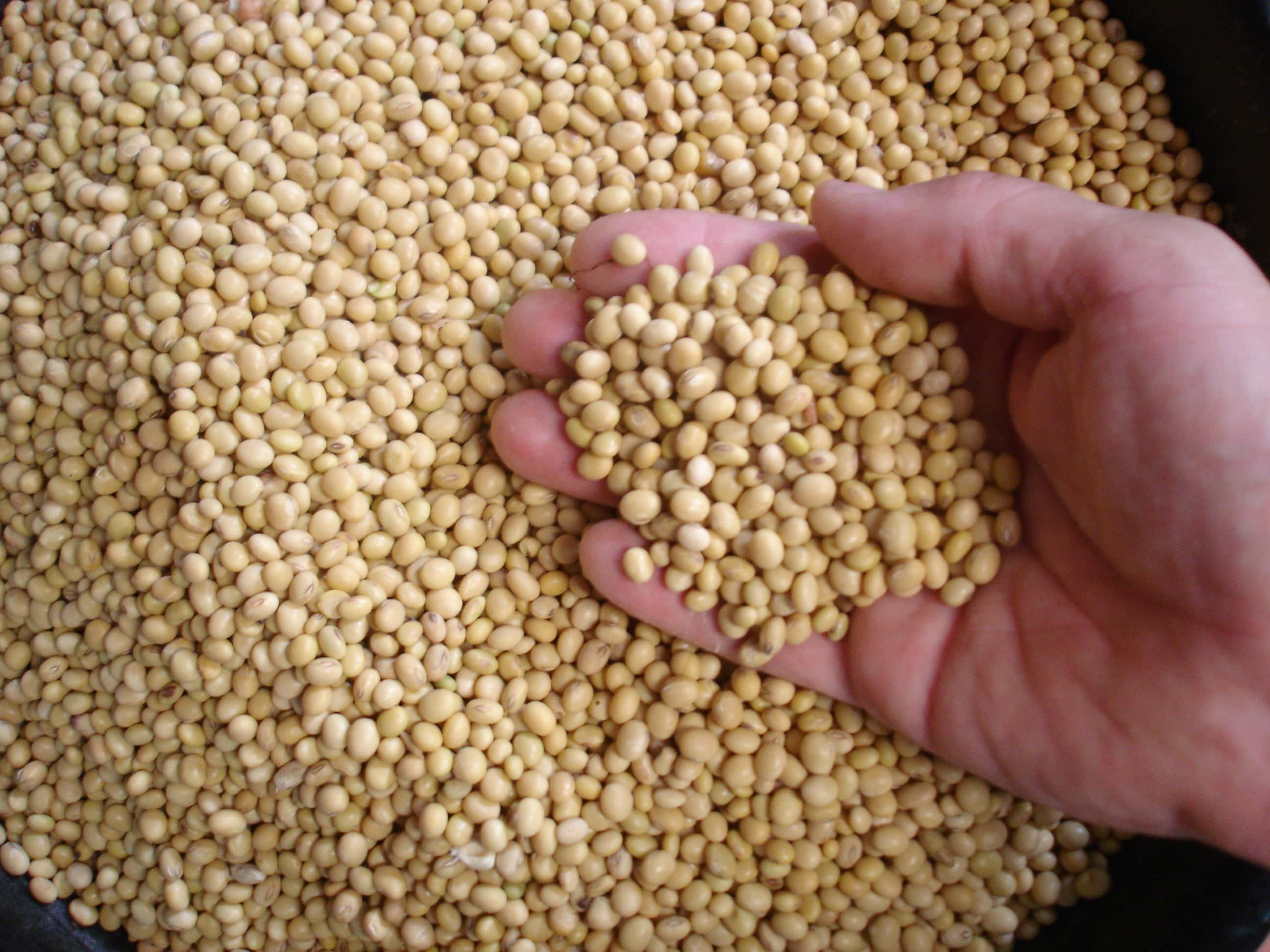 soybeans_marketed_2