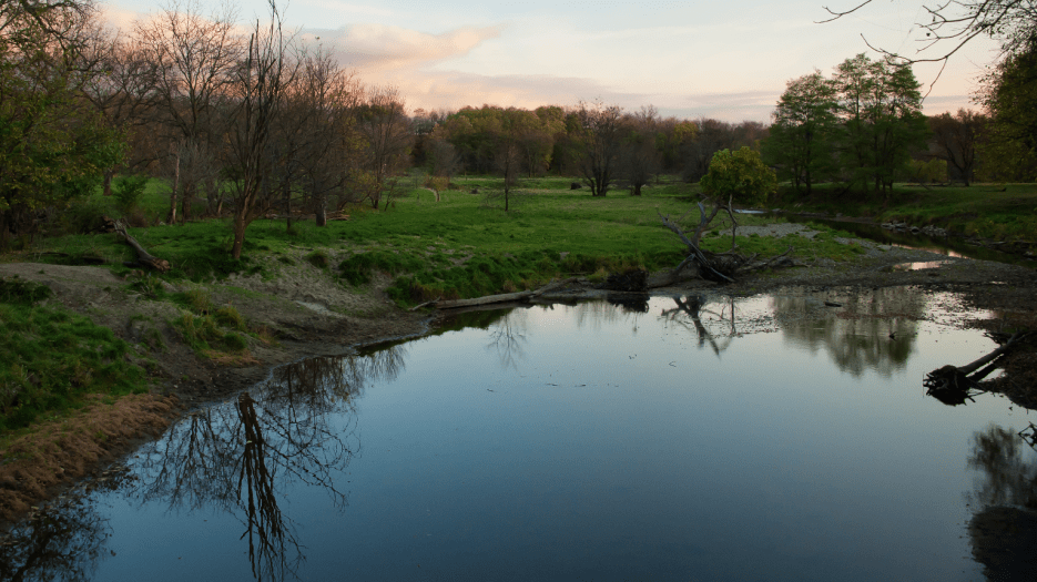 wotus_feature