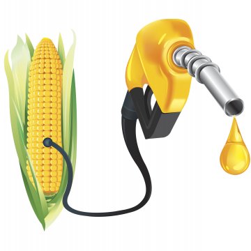 ethanol-corn-illustration-3