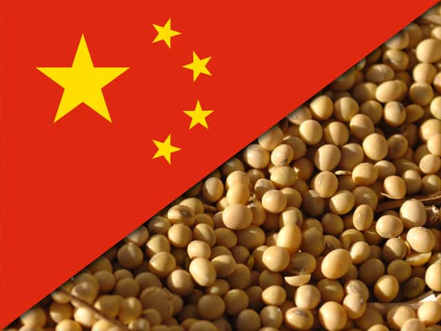 china_soybeans