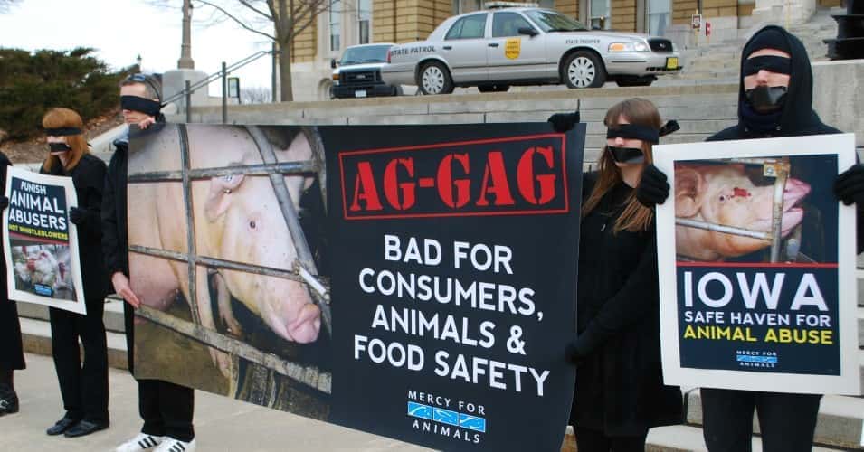 ag-gag_protest