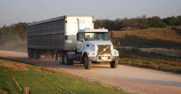 nhf-livestock-truck-on-road