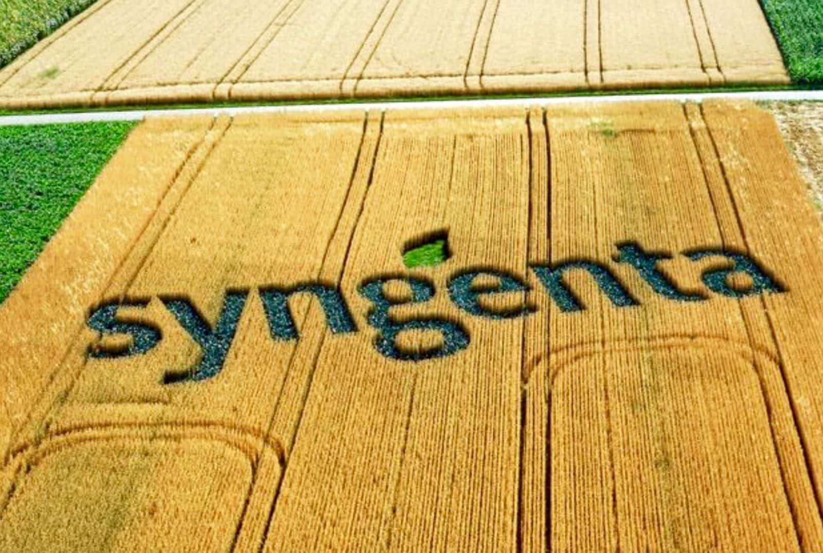 syngenta