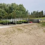 TreeNursery: New Tree Nursery. Photo Submitted