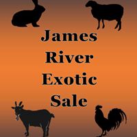 52355758_560425211127466_1958255605210677248_n