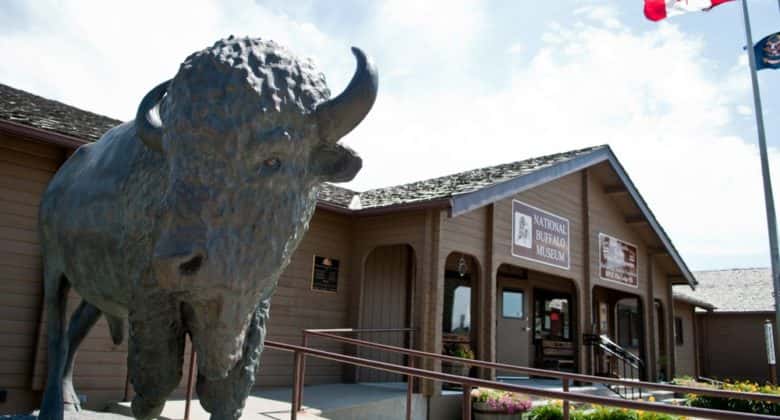 national-buffalo-museum