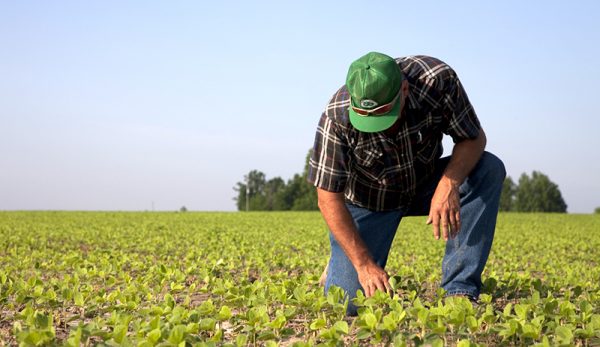 farmers-farming-mental-health-united-soybean-board-flickr-600x347