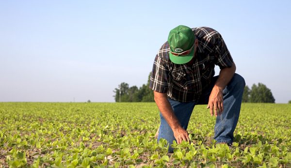 farmers-farming-mental-health-united-soybean-board-flickr-600x347-2