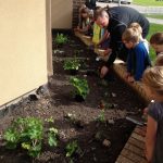 In the middle of photo Superintendent Josh Johnson helps students plant flowers on May 21st.