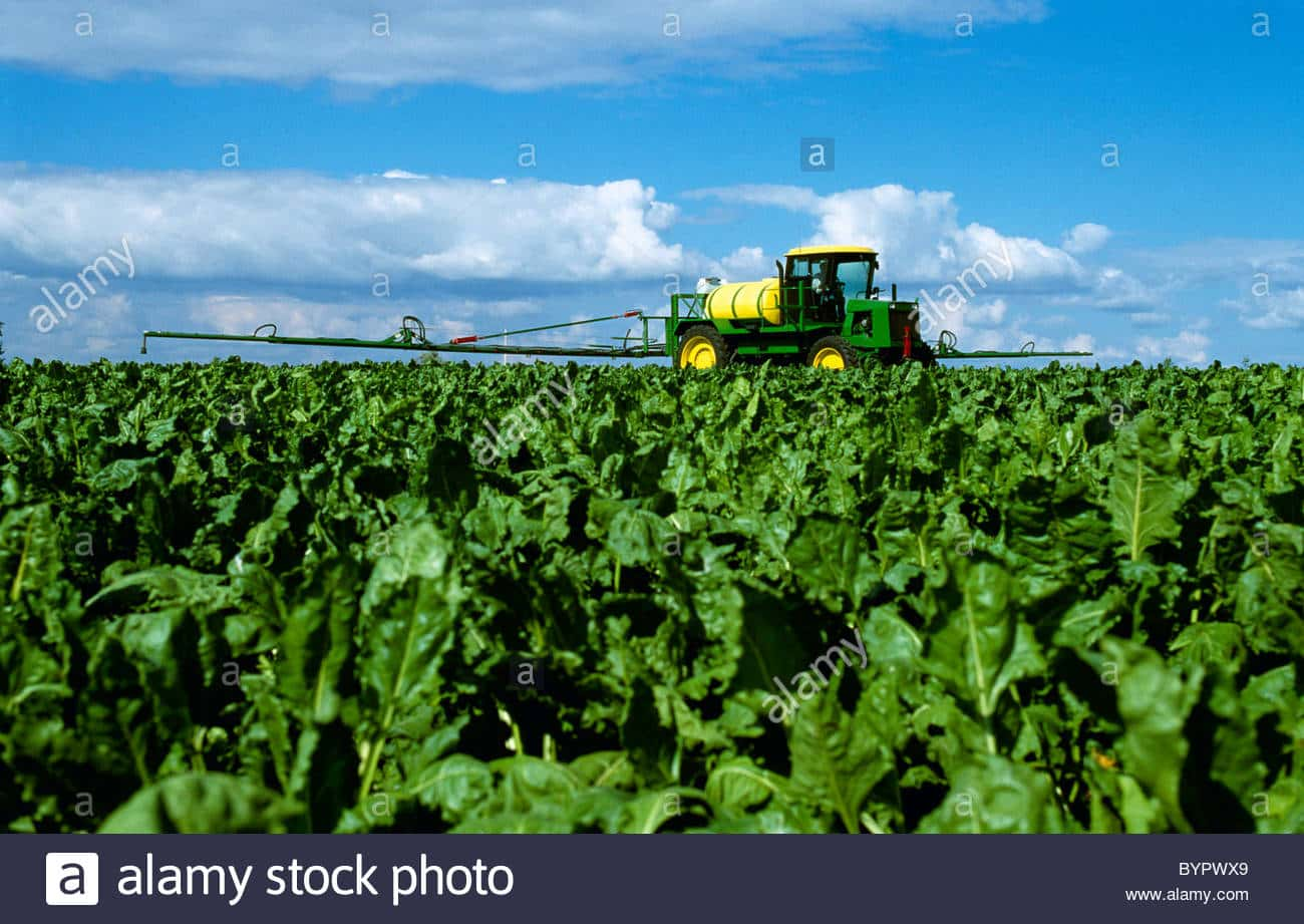 sugarbeet-spraying