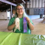 Pet-Exhibit-Megan-Beyer-Grand