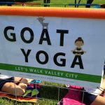 Goat Yoga in Valley City