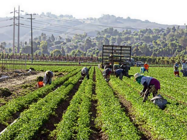 day-workers