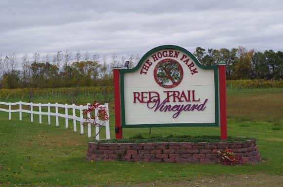 red-trail-vineyard