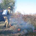 Image-3: North Dakota Forest Service fire staff uses prescribed burning to mitigate the risk of severe wildland fire by reducing fuels.