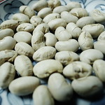 soybeans-5