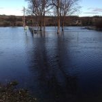 park-flooding-004