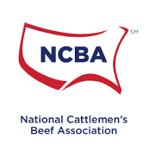 ncba-logo-4