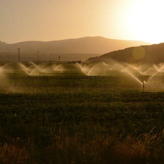 watering-field