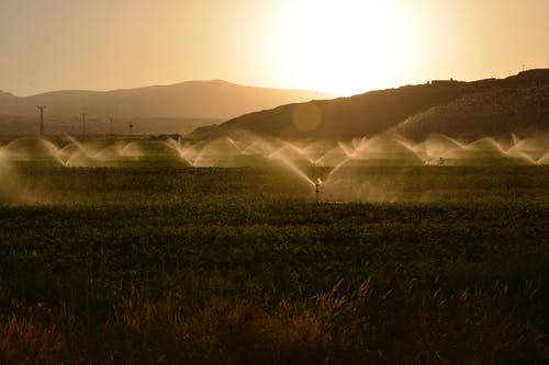 watering-field