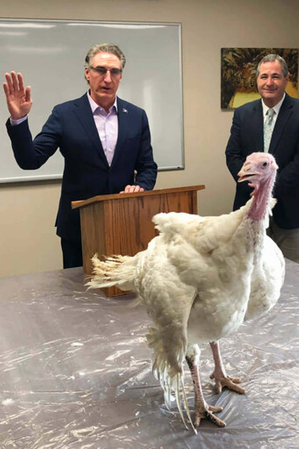 turkey_pardon-ap