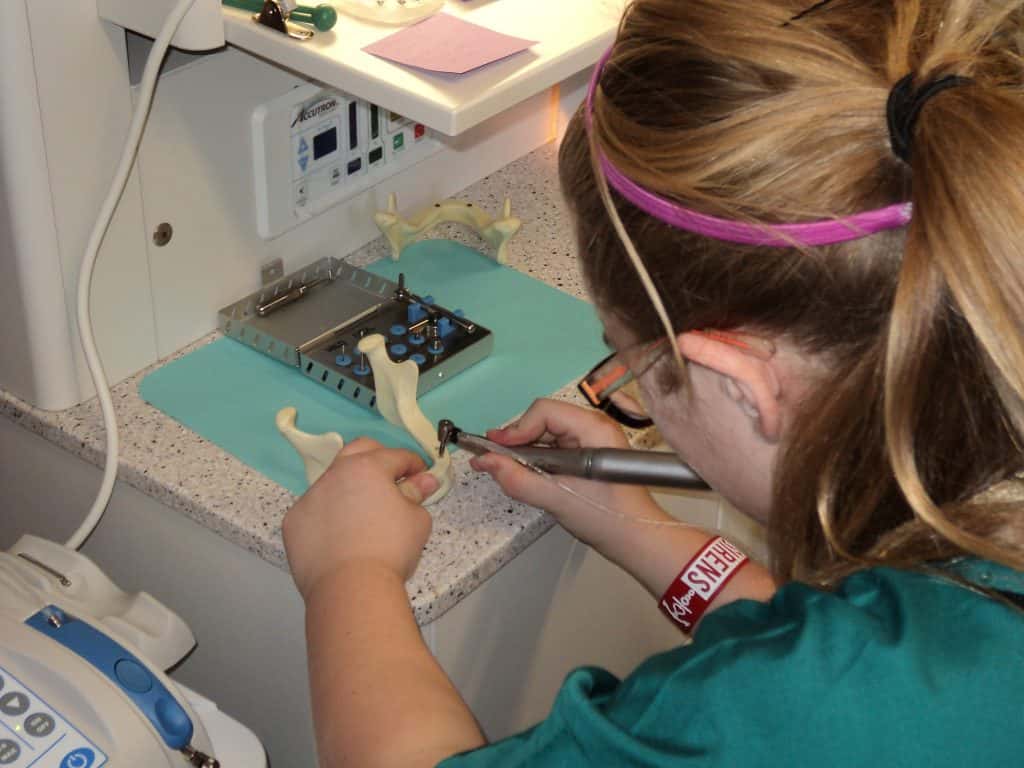 Carrington 8th Graders to Participate in Annual Scrubs Camp News Dakota