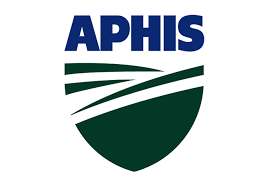 aphis