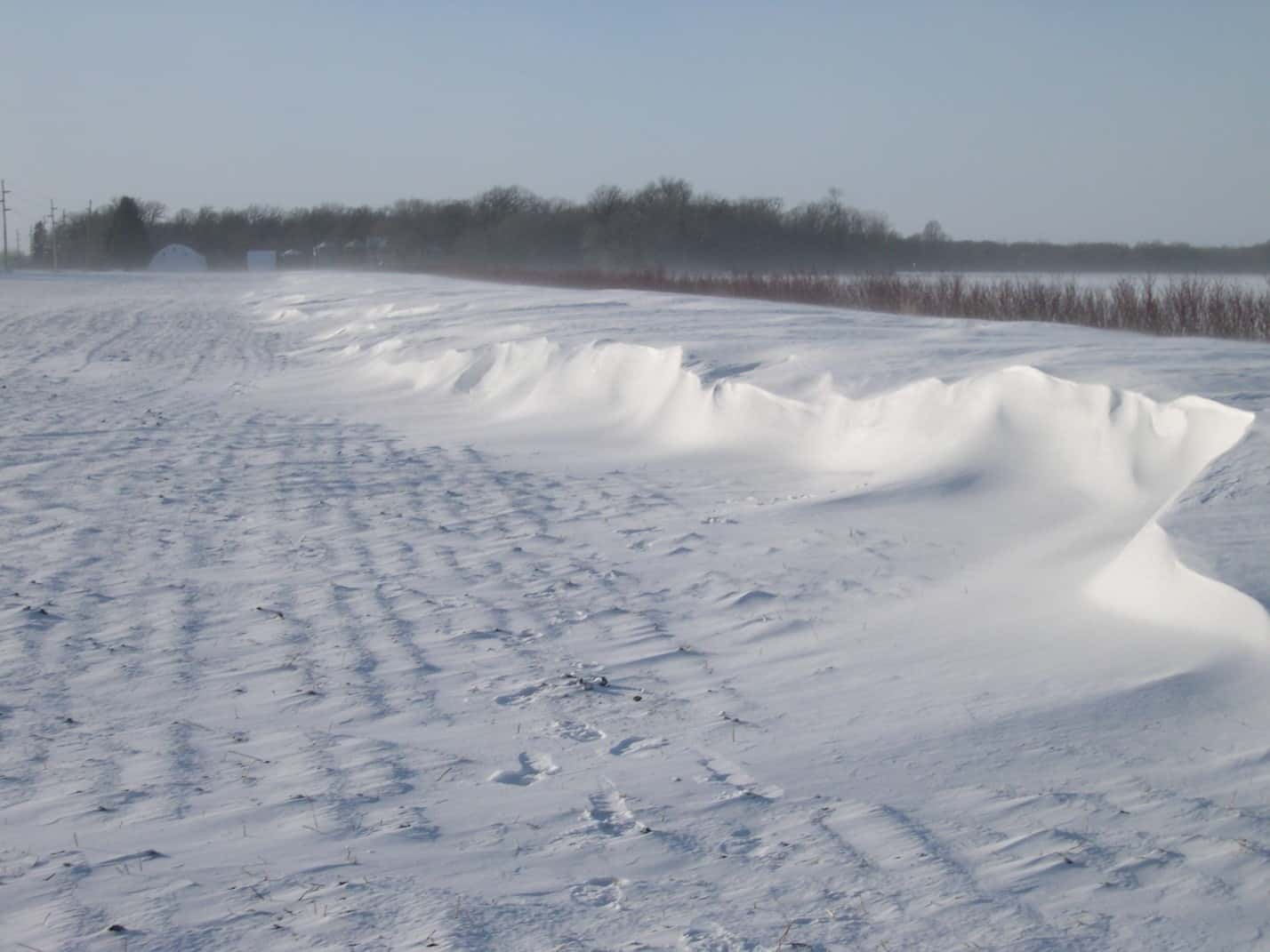 living-snow-fence