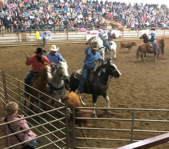 2020 North Dakota Winter Show Highlights | News Dakota