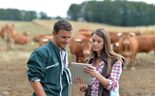 farmer-and-woman-in-cow-field-using-tablet