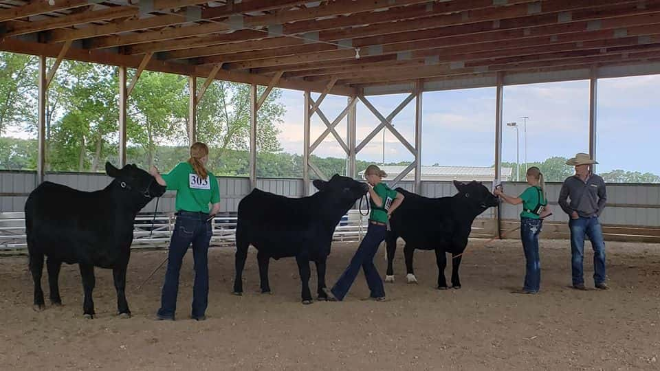 stutsman-4-h-beef-show-2020