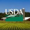 usda-1560441993-23