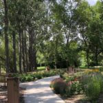 Jamestown’s-Sensory-Garden