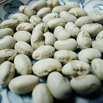 soybeans-7
