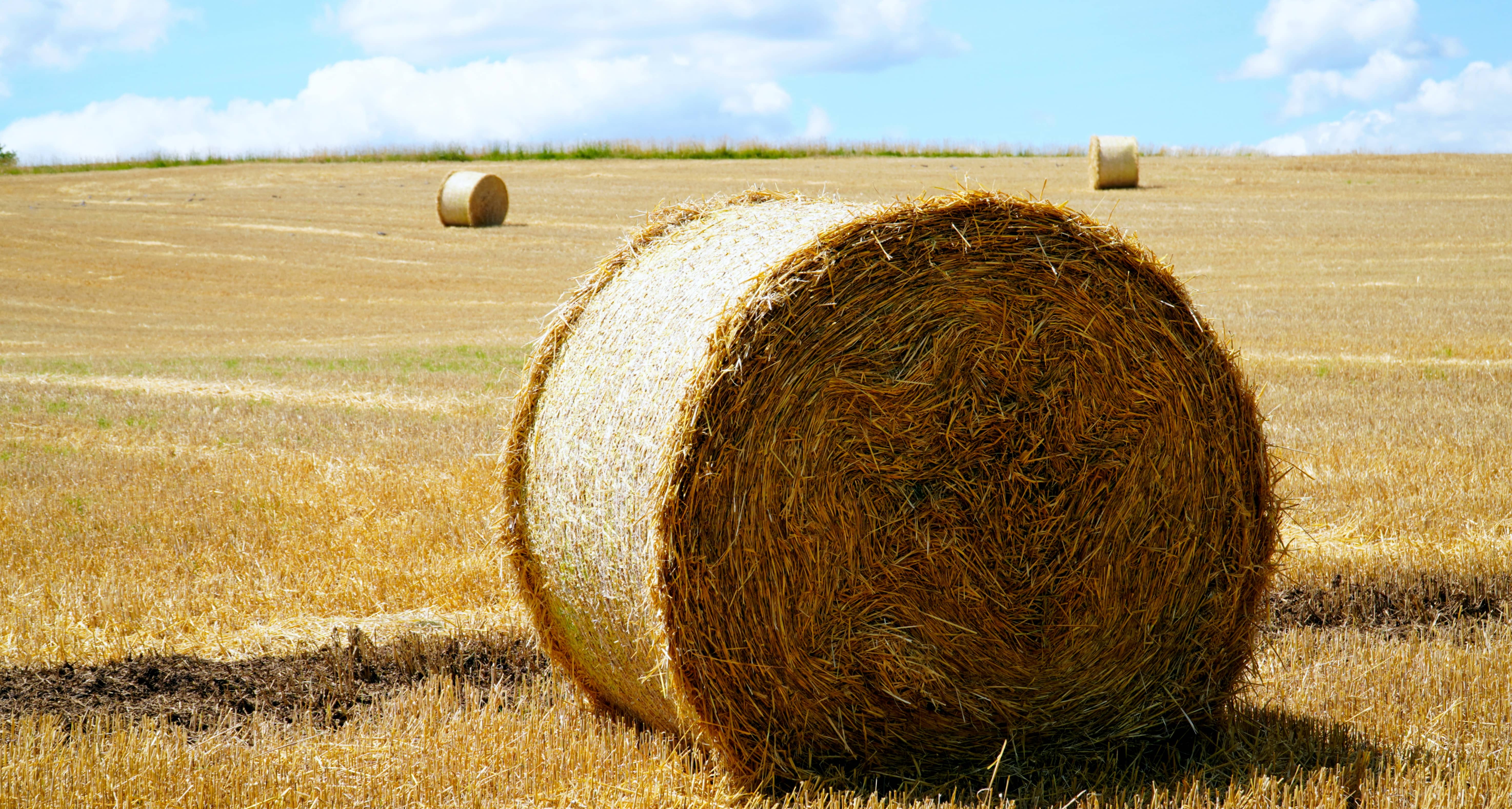 hay-bales-need-moved-from-rights-of-way-by-nov-1st-news-dakota