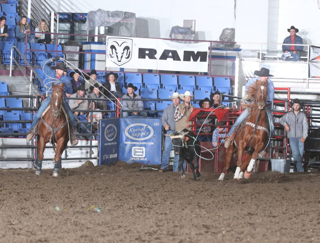 Badlands Pro Rodeo Horses of the Year Selected | News Dakota