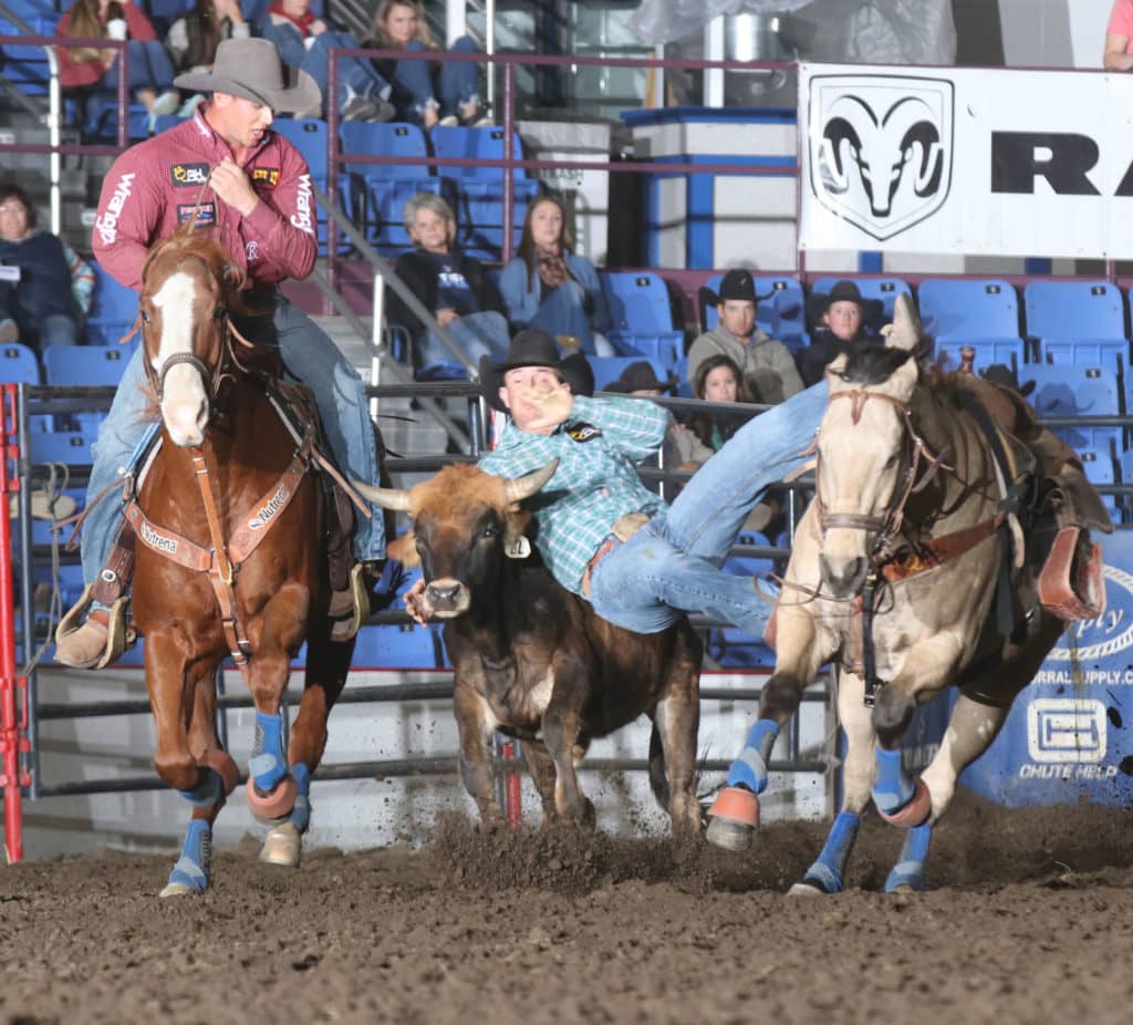 Badlands Pro Rodeo Horses of the Year Selected News Dakota