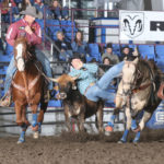 Haze: Cameron Morman, on the left, rides the 2020 Badlands Circuit haze horse of the year, Bull, at the 2020 Badlands Circuit Finals Oct. 9-11. This is the second year for the sorrel to win the award. Photo by Cowboy Images/Peggy Gander.