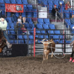 Bull: Cameron Morman, on the left, rides the 2020 Badlands Circuit haze horse of the year, Bull, at the 2020 Badlands Circuit Finals Oct. 9-11. This is the second year for the sorrel to win the award. Photo by Cowboy Images/Peggy Gander.